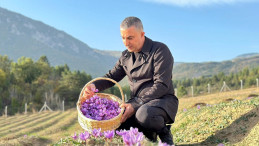 SAFRANOVA’DA HASAT ZAMANI