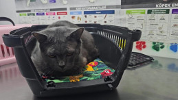 RABBİM HEPSİNİN ŞİFASINI VERSİN!