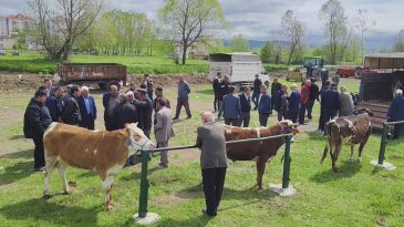 KURBANLAR PAZARA İNDİ