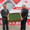 120 BİN SERTİFİKALI FİDE DAĞITILDI