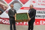120 BİN SERTİFİKALI FİDE DAĞITILDI