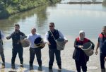 VALİ ÇELTİK EKTİ, DRONELER HAVADAN DESTEK VERDİ