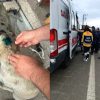 ADAM KÖPEĞİ ISIRDI!