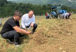 SAFRANOVA’DA SOĞAN HASADI ZAMANI