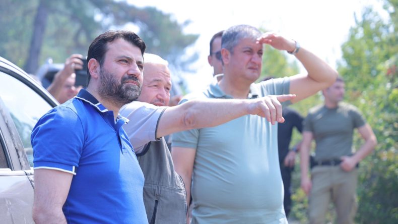 UMUTLARDA YEŞERİYOR ORMANLARDA