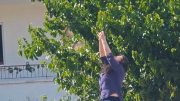 KISKANÇLIK KAVGASINDA HAREKETLİ SAATLER!