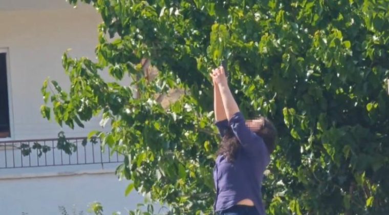 KISKANÇLIK KAVGASINDA HAREKETLİ SAATLER!
