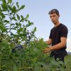 GİRİŞİMCİ ÜNİVERSİTE ÖĞRENCİSİ 15 TON HASAT BEKLİYOR