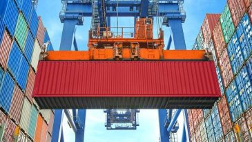 BEŞ AYDA 9 BİN TON ORMAN ÜRÜNÜ İHRAÇ EDİLDİ