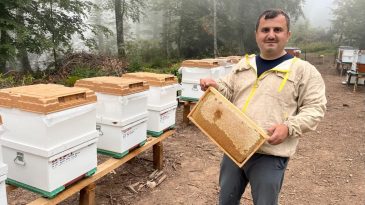 ORMANGÜLÜ BALINDA ÖNEMLİ ÜRETİM