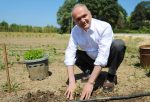 ATA TOHUMLARI TOPRAKLA BULUŞTU