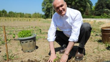 ATA TOHUMLARI TOPRAKLA BULUŞTU