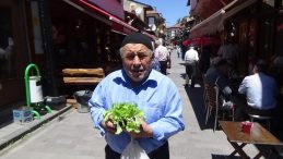 1O BİN ÜCRETSİZ FİDE DAĞITILDI