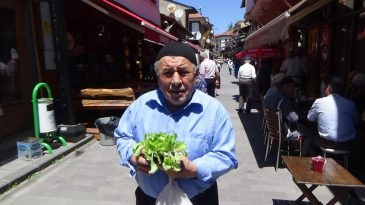 1O BİN ÜCRETSİZ FİDE DAĞITILDI