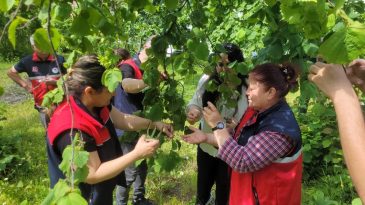 ÇİFTÇİNİN KORKULU RÜYASI