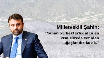 ŞAHİN; “YANAN BÖLGE EN KISA SÜREDE AĞAÇLANDIRILACAK”