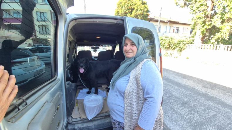 KÖPEKLERİNİ BİR YIL SONRA TAKTIRDIKLARI ÇİP SAYESİNDE BULDULAR