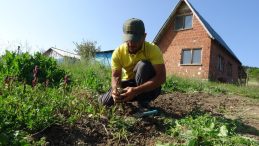 FİYATI 3 BİN LİRA, DOĞADAN TOPLAMANIN CEZASI AĞIR