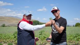 TAMAMI AMERİKA’YA İHRAÇ EDİLECEK