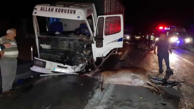 FECİ KAZADA ORTALIK CAN PAZARI
