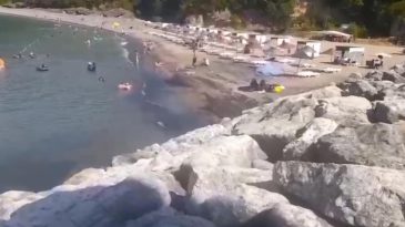 CEZAYA RAĞMEN ÇEVRE KATLİAMI DEVAM EDİYOR!