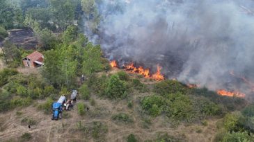 YANGIN ELBİRLİĞİYLE KONTROL ALTINA ALINDI