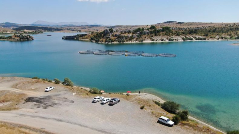 BALIK KAFESLERİ PATLADI