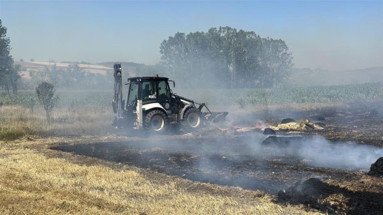 BALYADAN ÇIKAN YANGIN ORMANA SIÇRADI