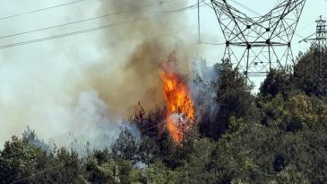 BİR YANGINDA DÜZCE-SAKARYA SINIRINDA