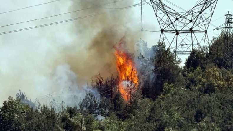 BİR YANGINDA DÜZCE-SAKARYA SINIRINDA