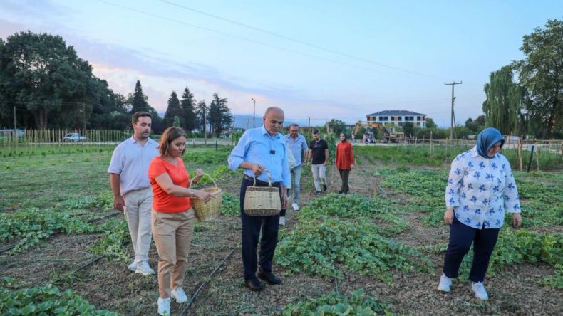 İLK HASADI BAŞKAN ÖZLÜ YAPTI