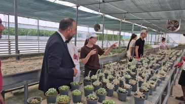 DOĞAL AFETLERE KARŞI AKILLI SERA