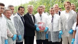 SERA OSB’DE İLK HASAT YAPILDI