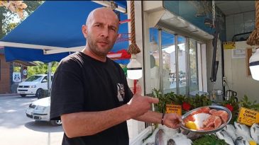 PALAMUT İÇİN KESTANE KARASINI BEKLİYORLAR