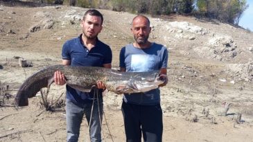 BARAJDAN 25 KİLOGRAMLIK CANAVAR ÇIKTI
