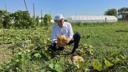 ATA TOHUMLARI AKADEMİLİ OLDU