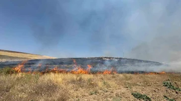 OT YAKARKEN ZEHİRLENEREK HAYATINI KAYBETTİ