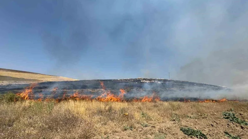 OT YAKARKEN ZEHİRLENEREK HAYATINI KAYBETTİ