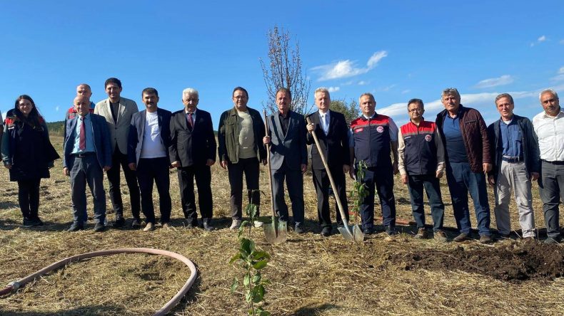 BELEDİYE KIZILCIK BAHÇESİ KURDU