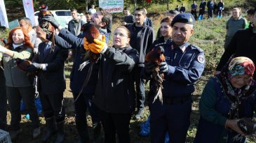 KOKARCALAR İLE MÜDAHALE İÇİN DOĞAYA SÜLÜNLER SALINDI