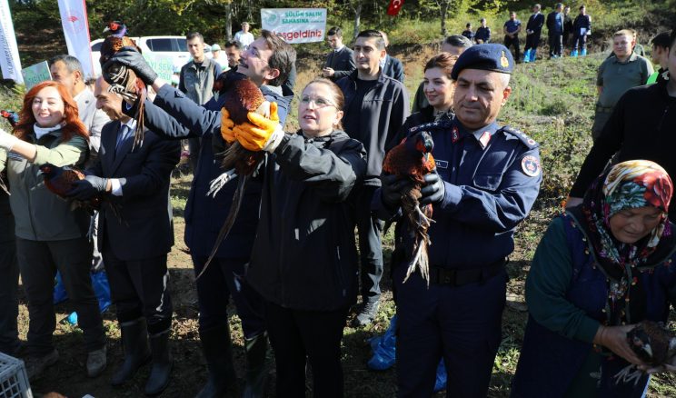 KOKARCALAR İLE MÜDAHALE İÇİN DOĞAYA SÜLÜNLER SALINDI