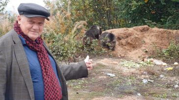 ANNELERİNİ KAYBEDEN YAVRULAR İLÇENİN MASKOTU OLDU