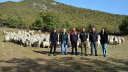 TİFTİK KEÇİSİNE 3 MİLYON HİBE