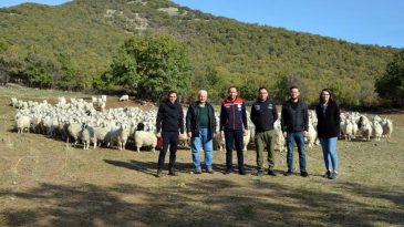 TİFTİK KEÇİSİNE 3 MİLYON HİBE