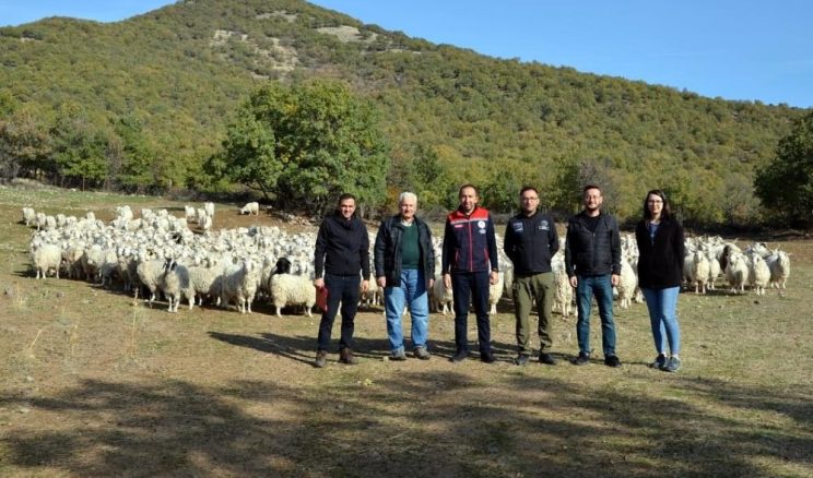 TİFTİK KEÇİSİNE 3 MİLYON HİBE