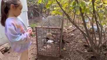 MİNİK KIZ YÜREKLERİ ISITTI