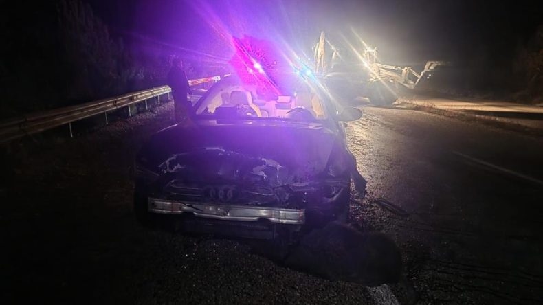 BAŞKAN DOMUZ SÜRÜSÜNÜ BİÇTİ!