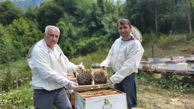 AVRUPA YENİCE IHLAMUR BALINI TESCİLLEDİ