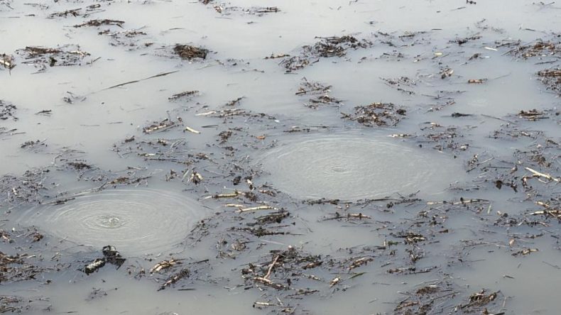EFTENİ GÖLETİ’NDE KORKUTAN GÖRÜNTÜ