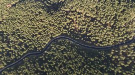 BABALAR DEDİĞİNİ YAPAR…!